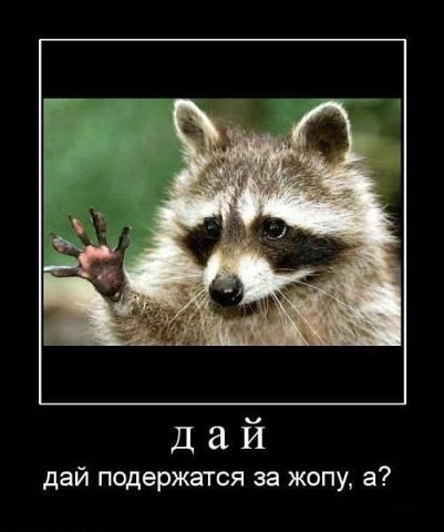 Андрей Щербаков | Саров