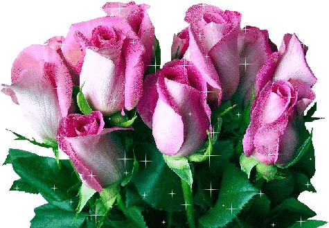 Диляра Гареева | Казань