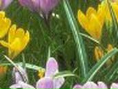 Елена Атрощенкова | Приозерск