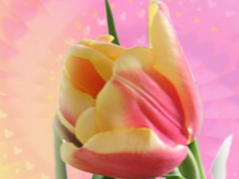 Тоня Школьная (Зайченко) | Киев