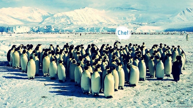 Руслан Кукин | Жуковский