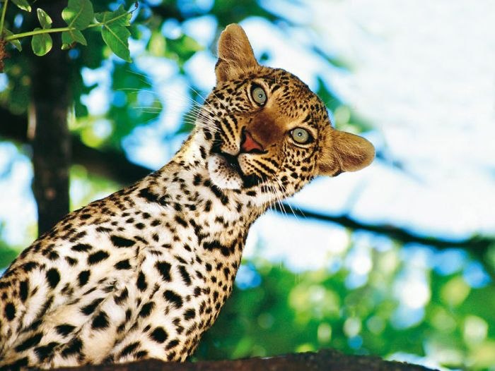 Саня Оськин | Снежногорск