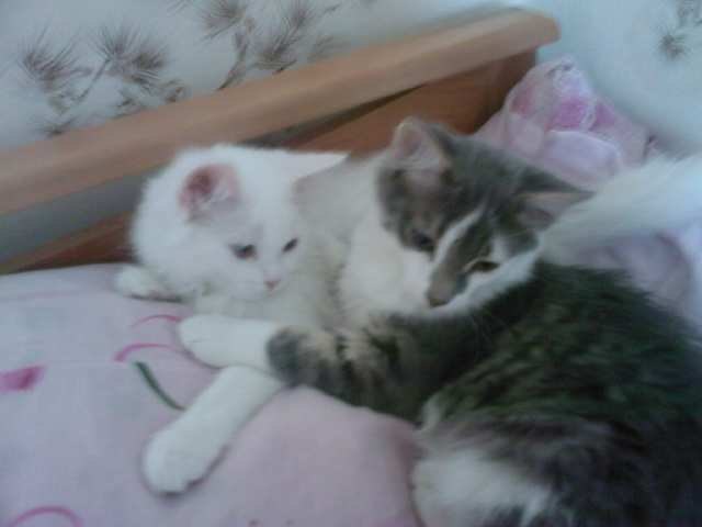 Катюшка Жевагина | 