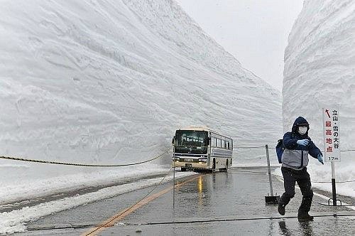 Андрій Каргальцев Bondu | Хуст