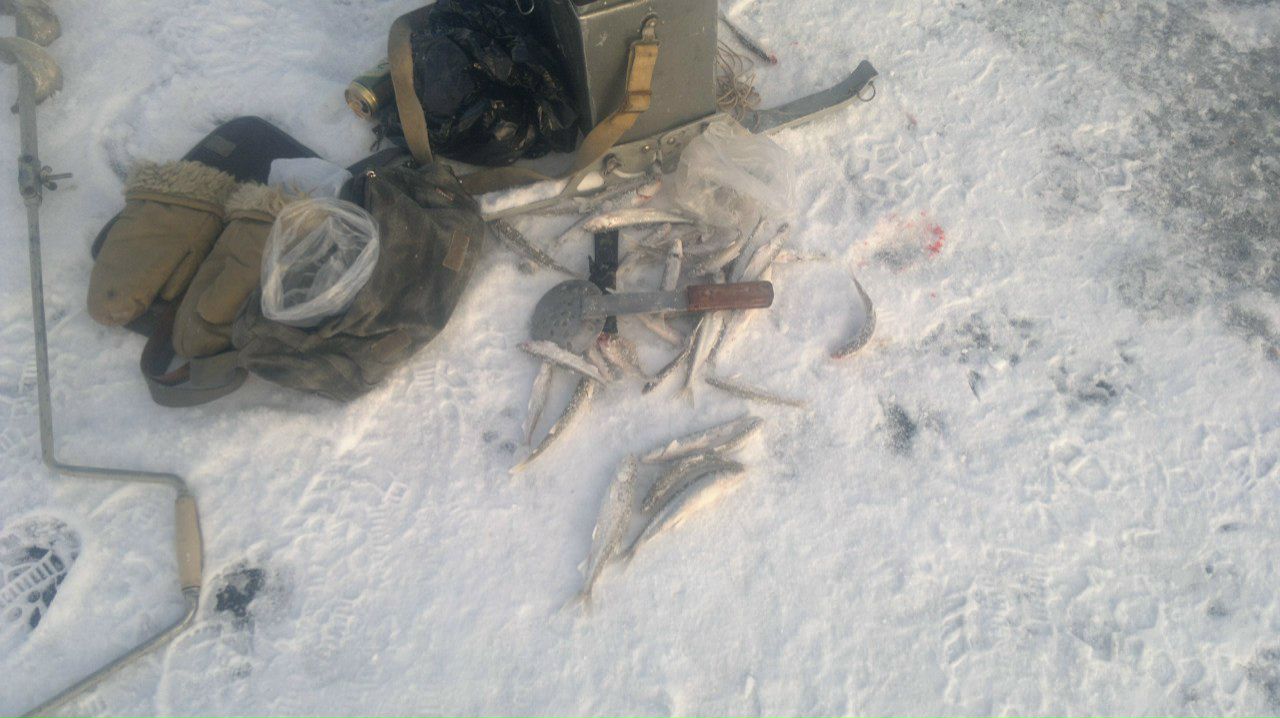 Алексей Соловьев | Кронштадт