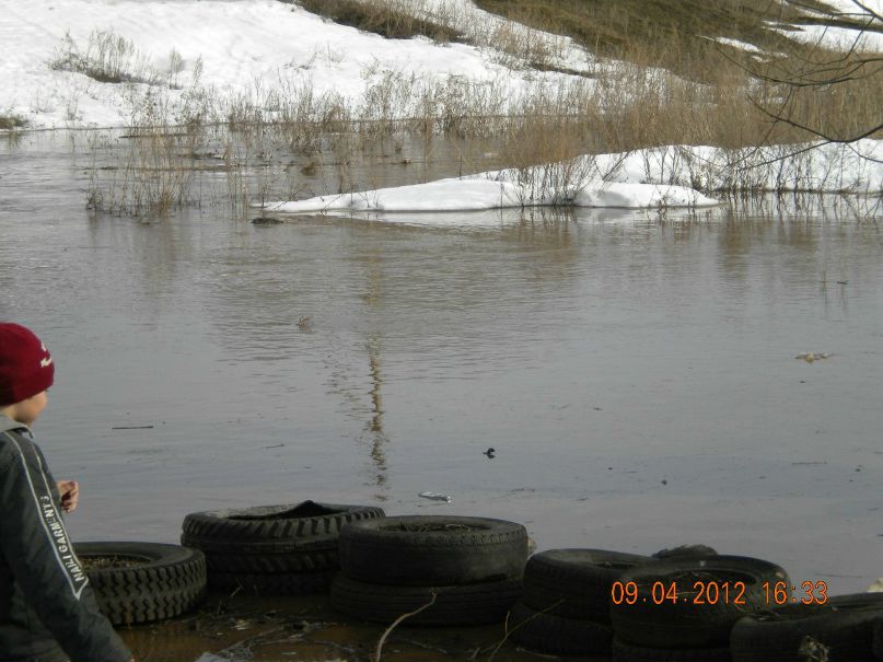 Елена Саватнеева-Захарова | Самара