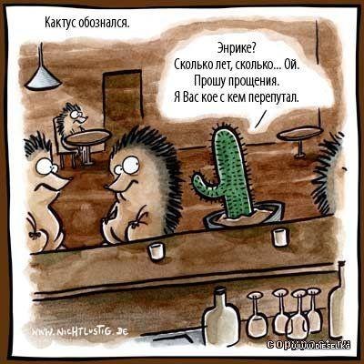 Кристина Насич dior | Калининград