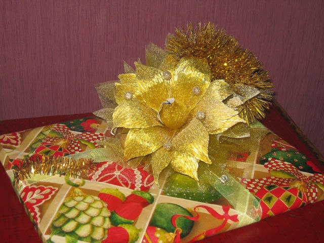 Марина Донченко | Барнаул