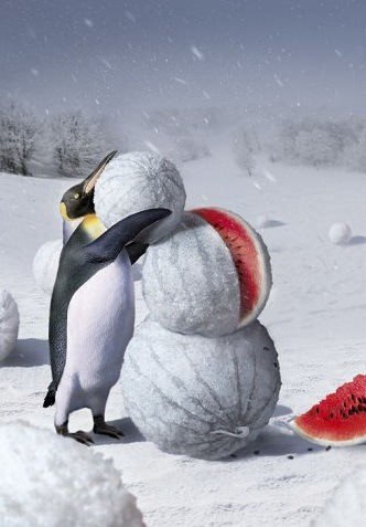 №45, Алексей Матиишин, Гомель №45, Алексей Матиишин, Гомель