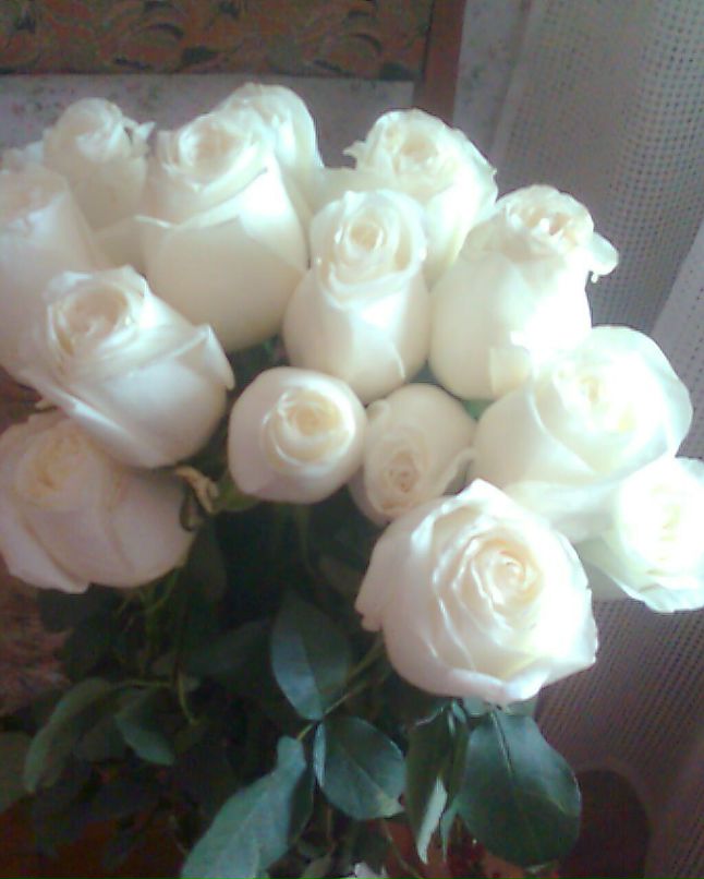 Мария Крикунова | Тольятти