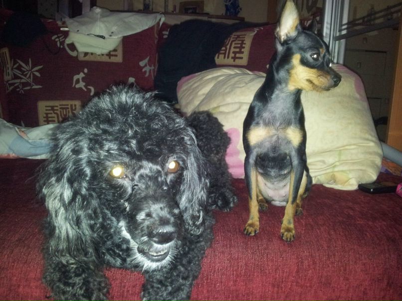 Марина Железнова | Сергиев Посад