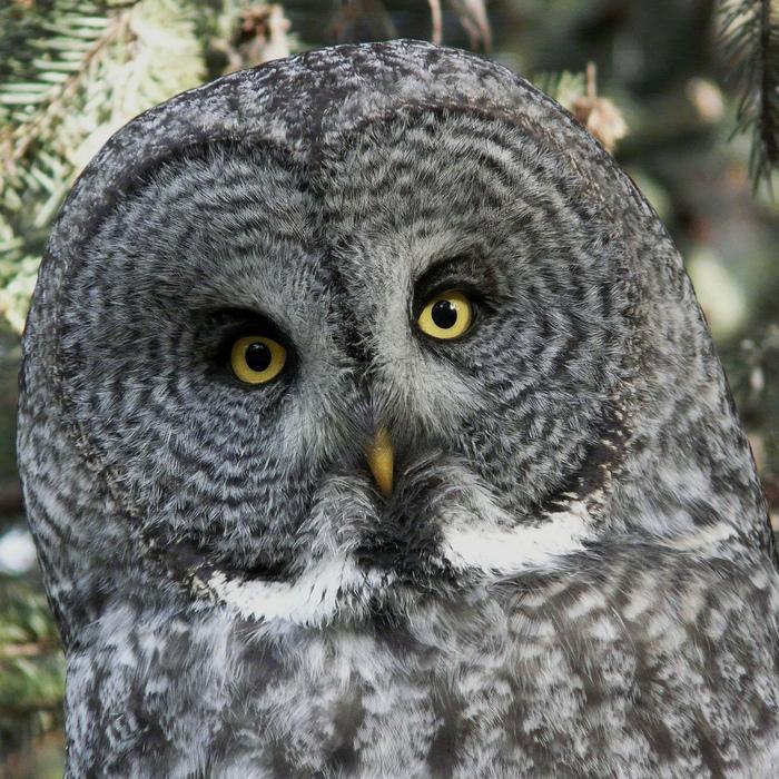 Светлана Трофимова | Санкт-Петербург