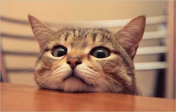 Кристина Неронская | Челябинск