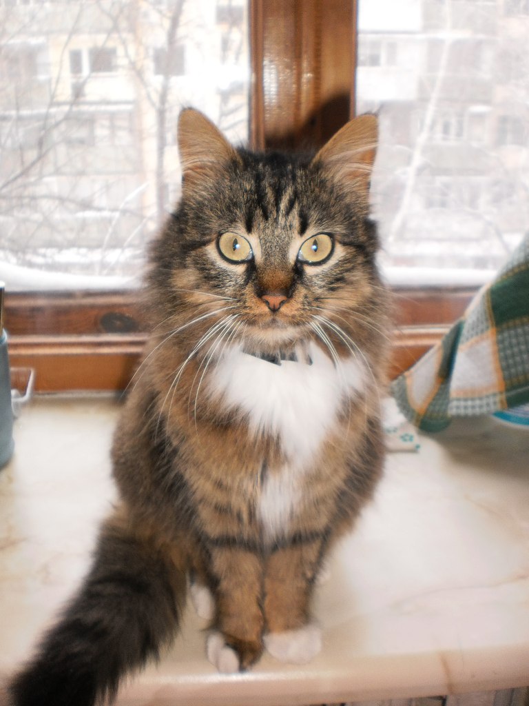 Дарья Заяц | 