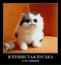 Фотография Думающая Блондинка