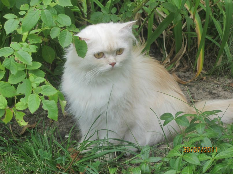 Яна Тригуб | Черкассы