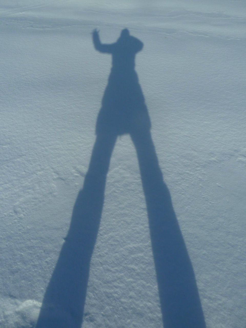 Александра Соловейчик | Санкт-Петербург