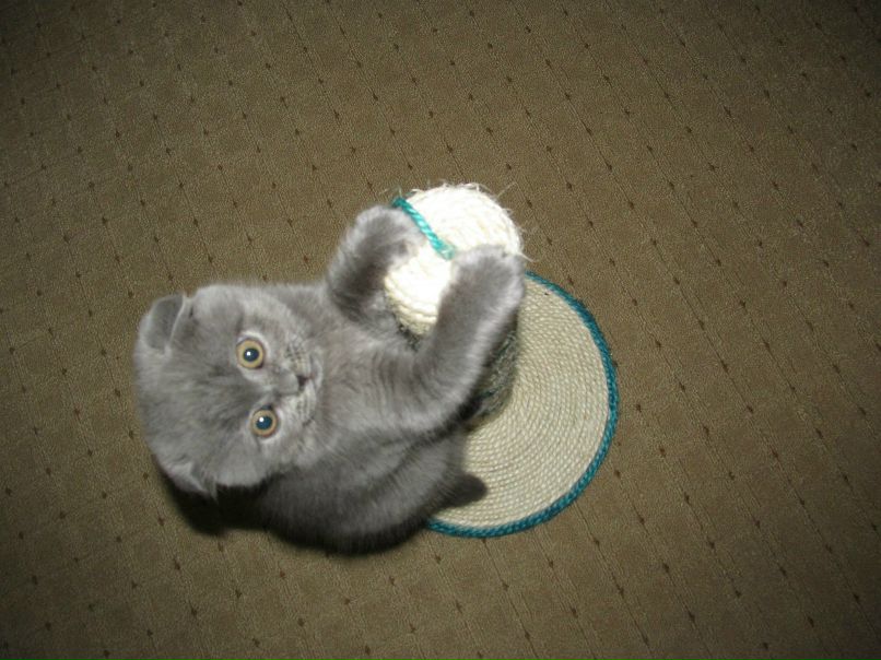 Юлия Баранова 