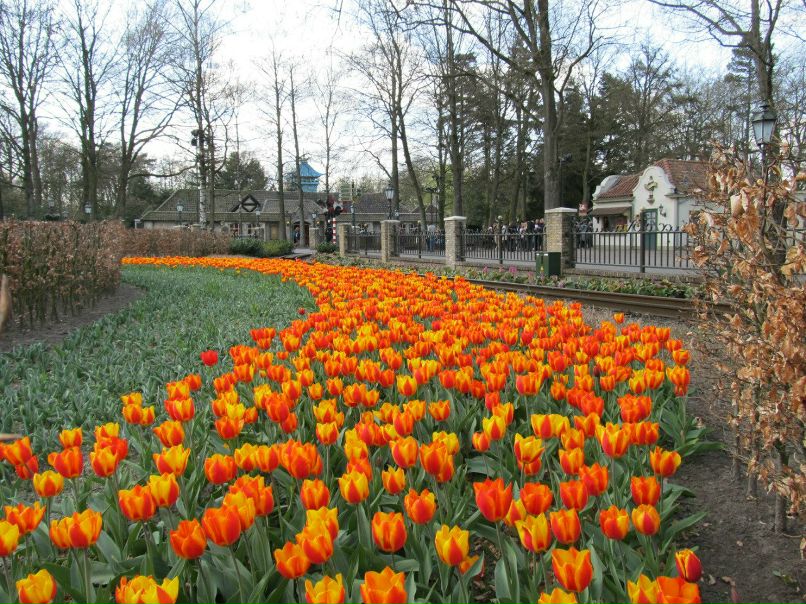 Марина Григоренко | Николаев