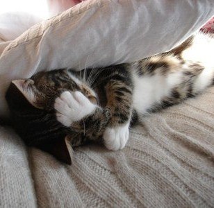 №1, Иван Князев №1, Иван Князев