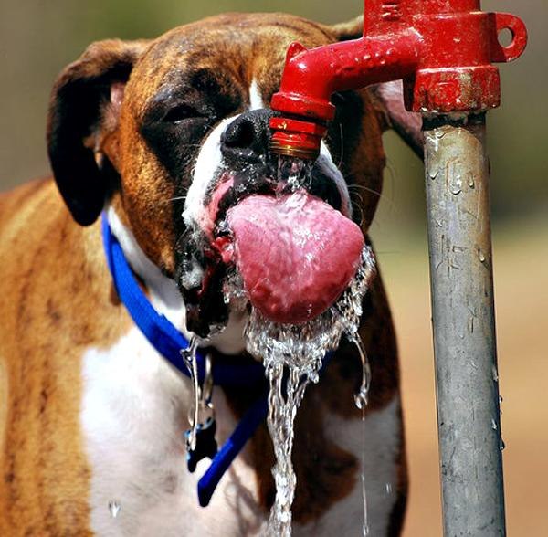 Анна Хорошавина | Москва