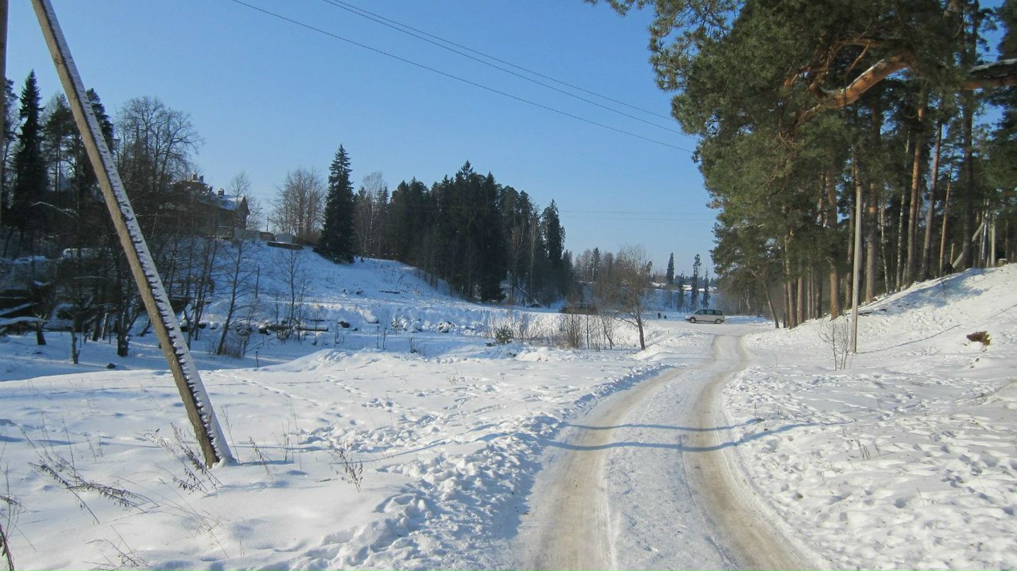 Инна Коломайнен | Санкт-Петербург