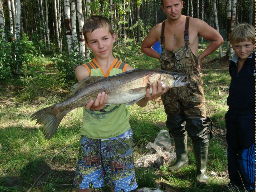 Константин Груничев | Санкт-Петербург