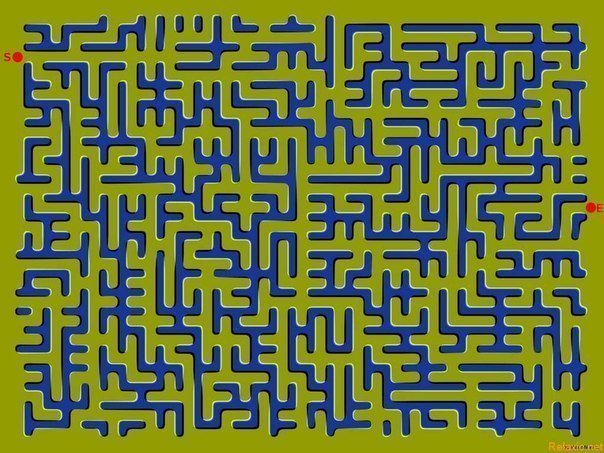 Денис Мишенькин | 