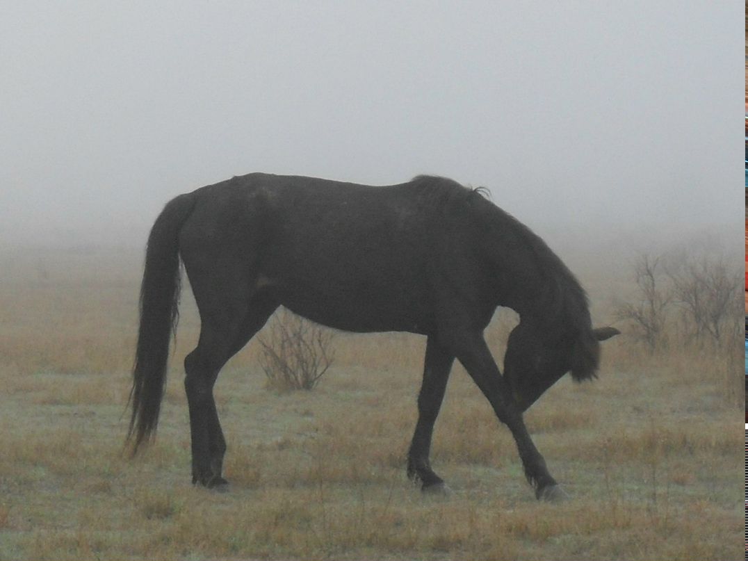 Андрей Молчанов | Бронницы (станция)