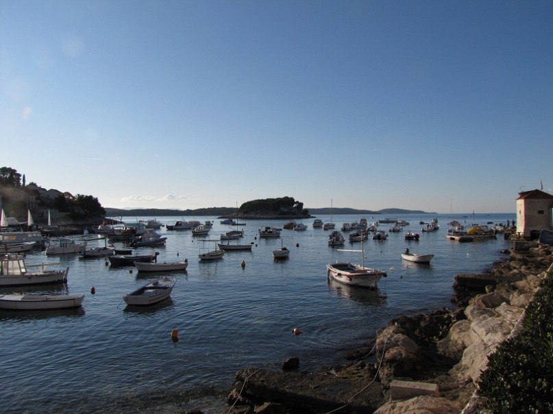 Сергей Кургузов | San Jose