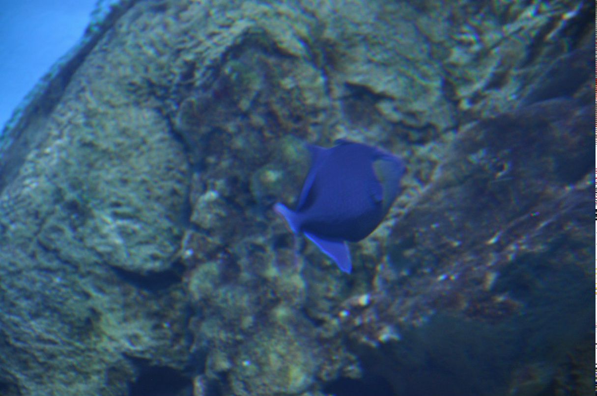 Наталия Энгель | Москва