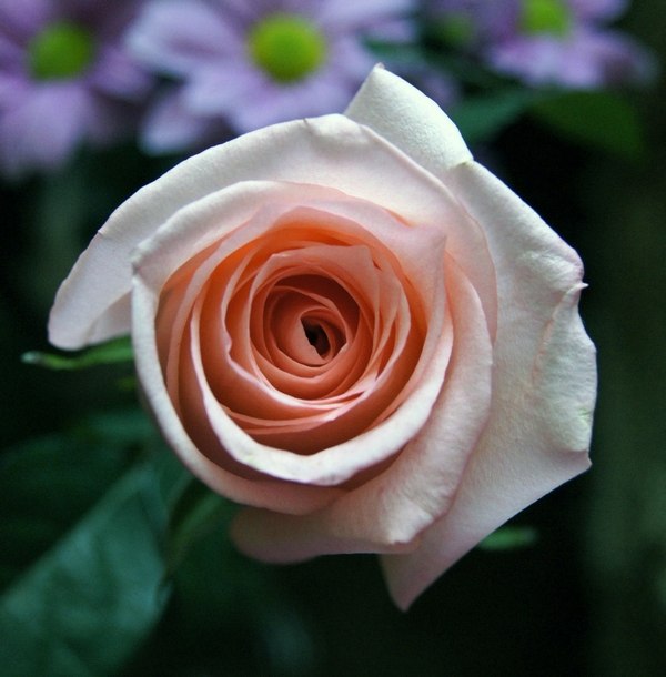 Светлана Иванкова | Дзержинск