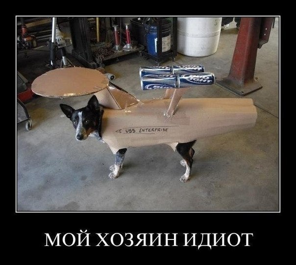 Виталий Останин Fucking Army!!! | Благовещенск