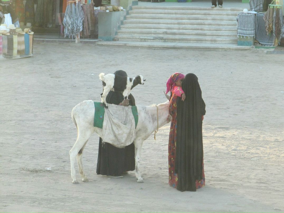 Андрей Анчуков | Домодедово