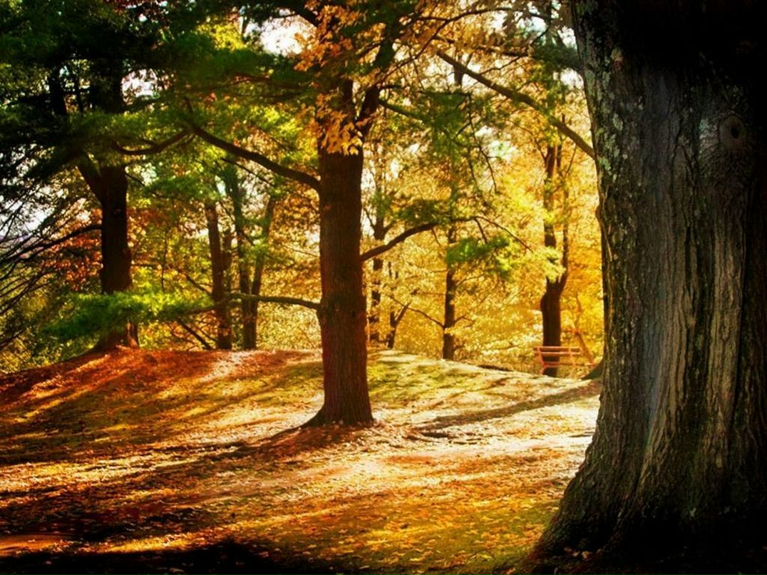 Марина Терещенко Ірця.Т. | Луцк