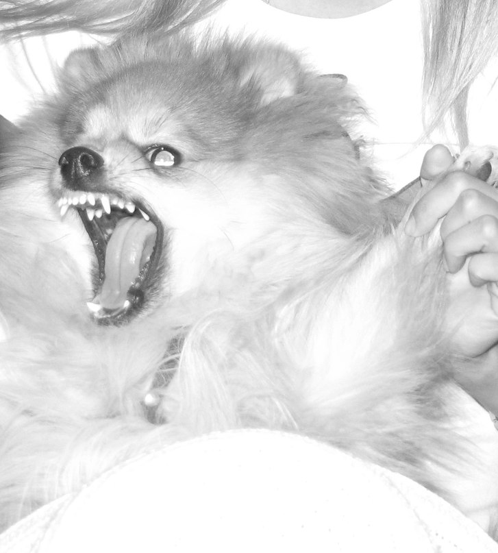 Анастасия Заболонская | Москва