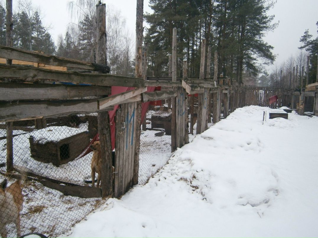 Олександр Брижко | Киев