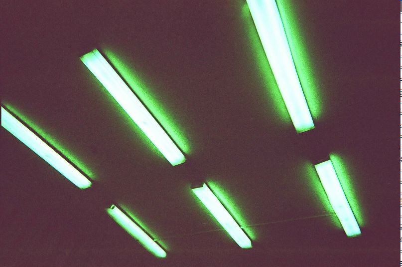 Егор Гринвальд | Хабаровск