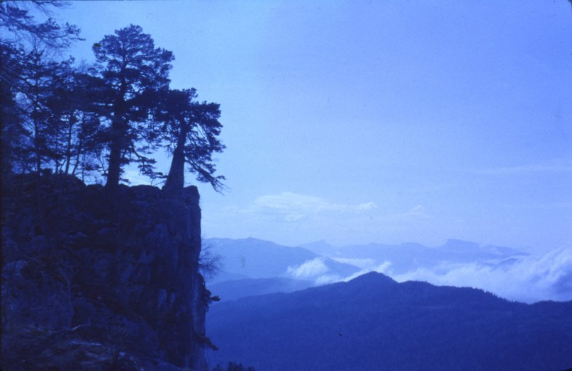 Владимир Казаков | Санкт-Петербург