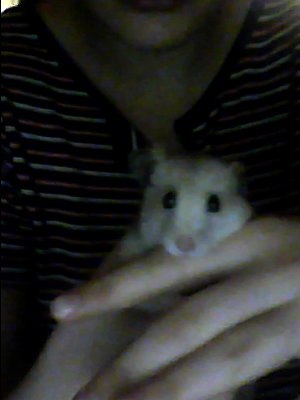 Кристина Васильева | 