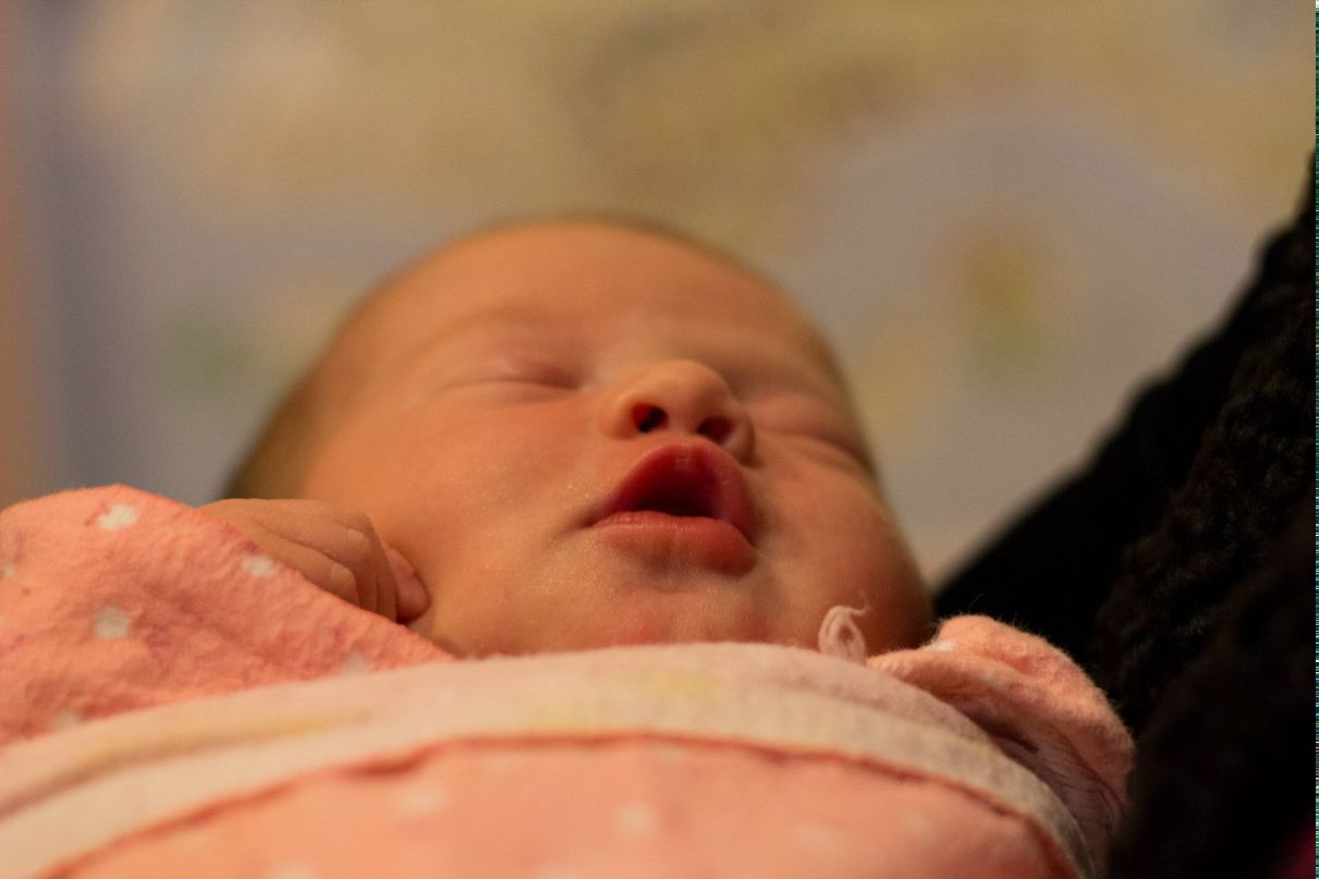 Дарья Гредина | 