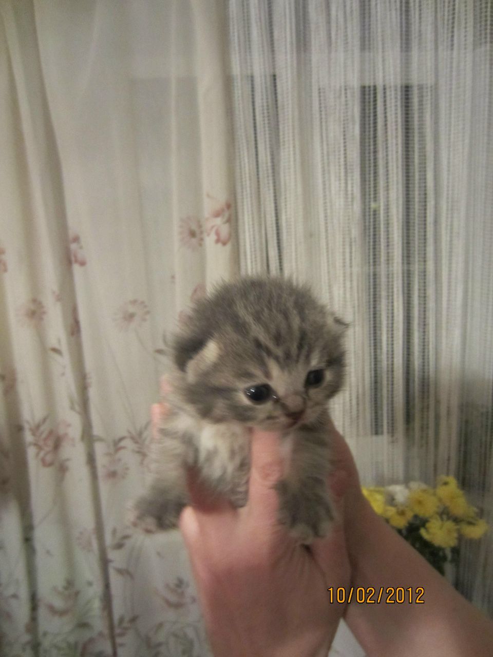 Ирина Иванова | Санкт-Петербург