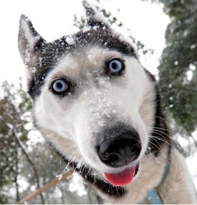 Костя Бреханов | Тюмень