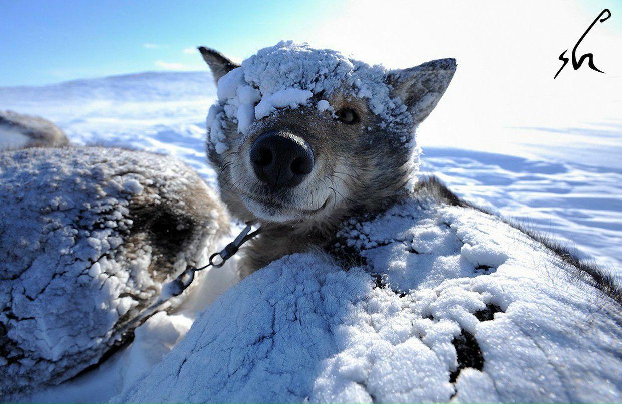 Аня Ершова | Ярославль