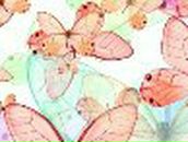 Светлана Маслова | Запорожье