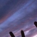 №67, Дарья Сорокина №67, Дарья Сорокина