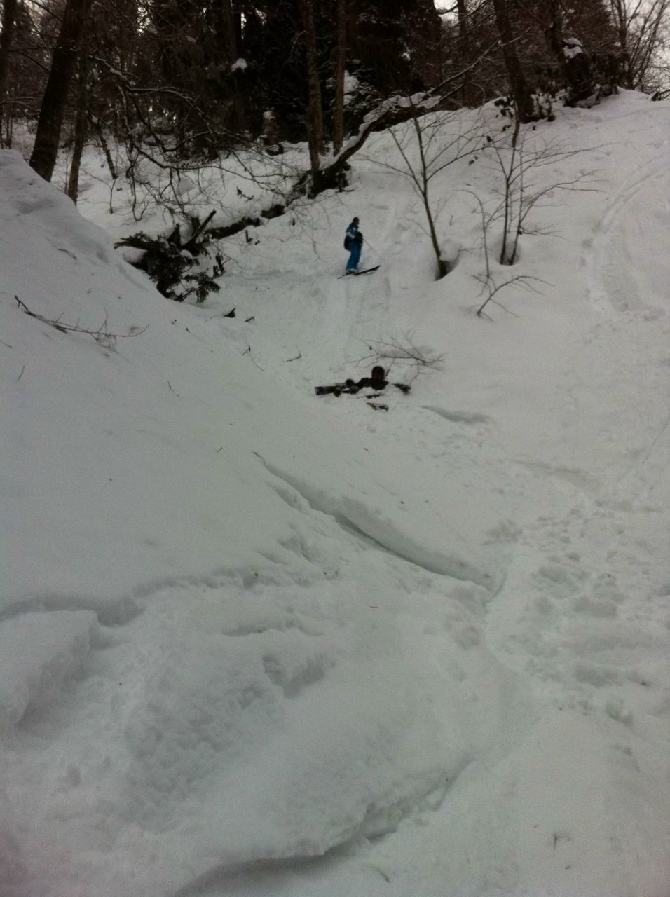 Максим Тхор | Тула