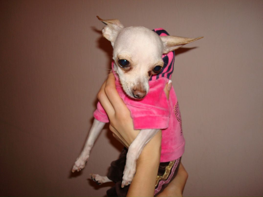 Маша Кондина | Roma