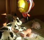 №17 Жадыра Тулебаева : профиль, фото, статус - ВКонтакте