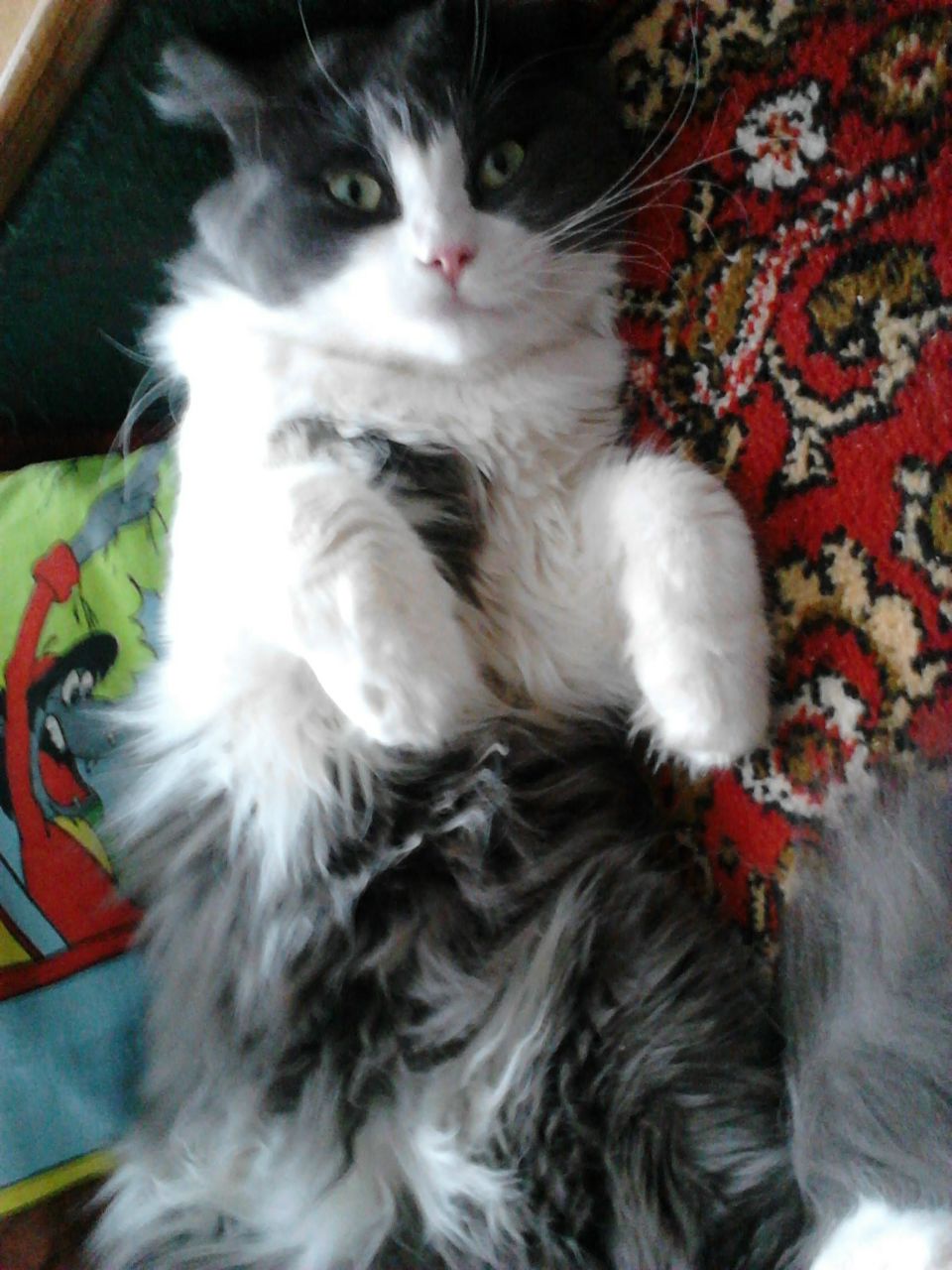 Владимир Шеронов | Иваново